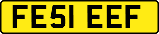 FE51EEF