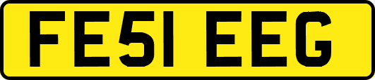 FE51EEG