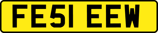 FE51EEW