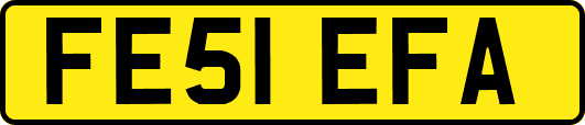 FE51EFA