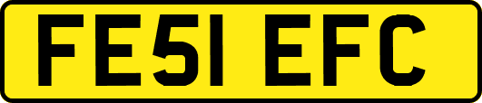 FE51EFC