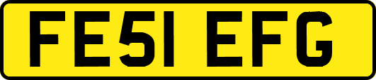 FE51EFG