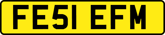 FE51EFM