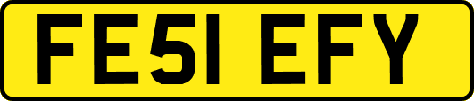 FE51EFY