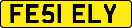 FE51ELY