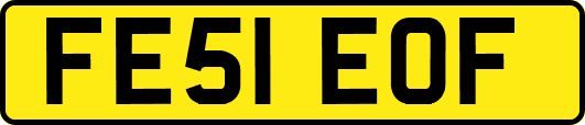 FE51EOF