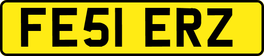 FE51ERZ