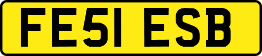 FE51ESB