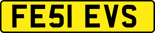 FE51EVS