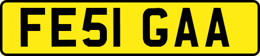 FE51GAA