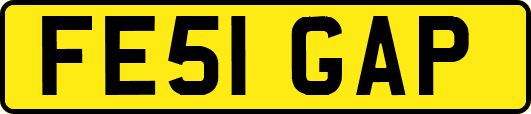 FE51GAP