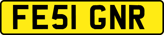 FE51GNR