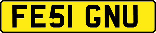 FE51GNU