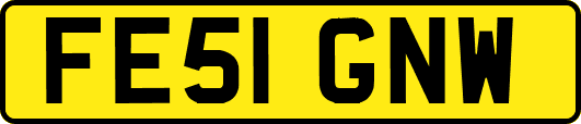 FE51GNW