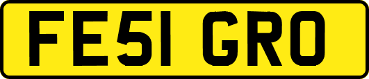 FE51GRO
