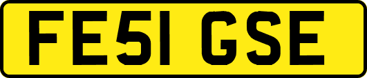 FE51GSE