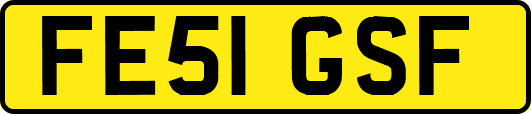 FE51GSF