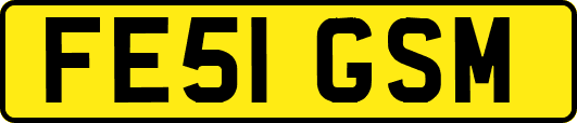 FE51GSM