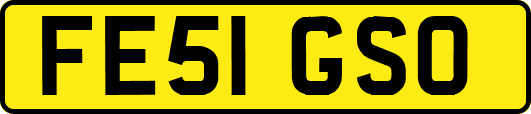 FE51GSO