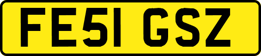 FE51GSZ