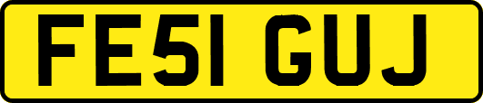 FE51GUJ