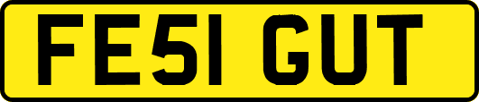 FE51GUT