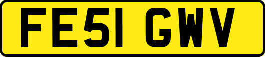 FE51GWV