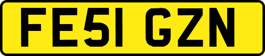 FE51GZN