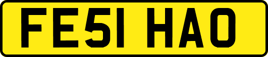FE51HAO