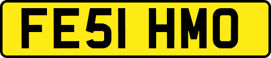 FE51HMO