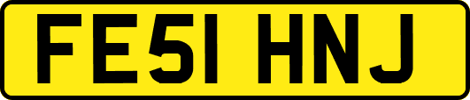 FE51HNJ