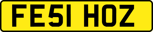 FE51HOZ