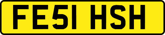 FE51HSH