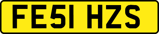 FE51HZS