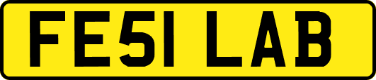 FE51LAB