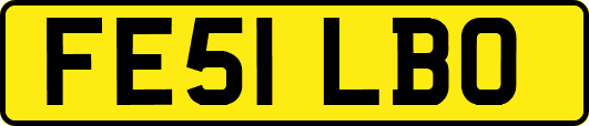 FE51LBO