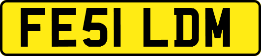 FE51LDM