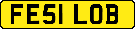 FE51LOB