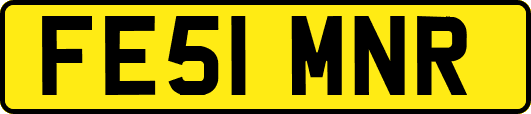 FE51MNR