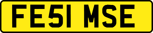 FE51MSE