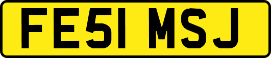 FE51MSJ