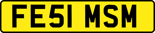 FE51MSM