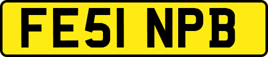 FE51NPB