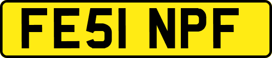 FE51NPF