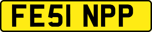 FE51NPP