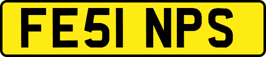 FE51NPS