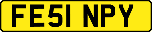 FE51NPY