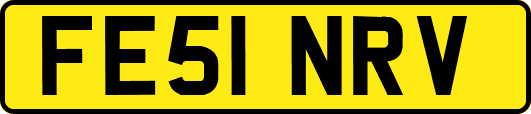 FE51NRV