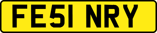 FE51NRY