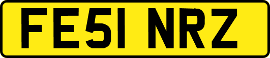 FE51NRZ